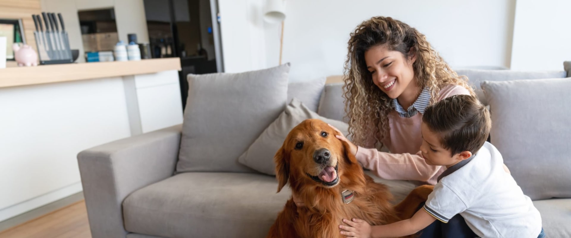 How a 12x24x1 HVAC Furnace Home Air Filter Revolutionizes Chief Air Quality for AC Repairs