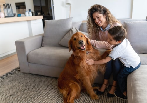 How a 12x24x1 HVAC Furnace Home Air Filter Revolutionizes Chief Air Quality for AC Repairs